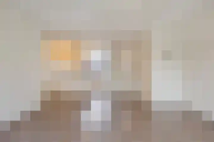 Teldersweg 48 Rhenen thumbnail 9