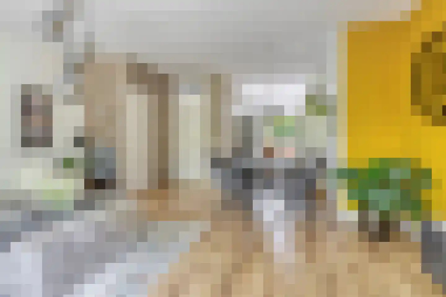 Teldersweg 50 Rhenen thumbnail 13