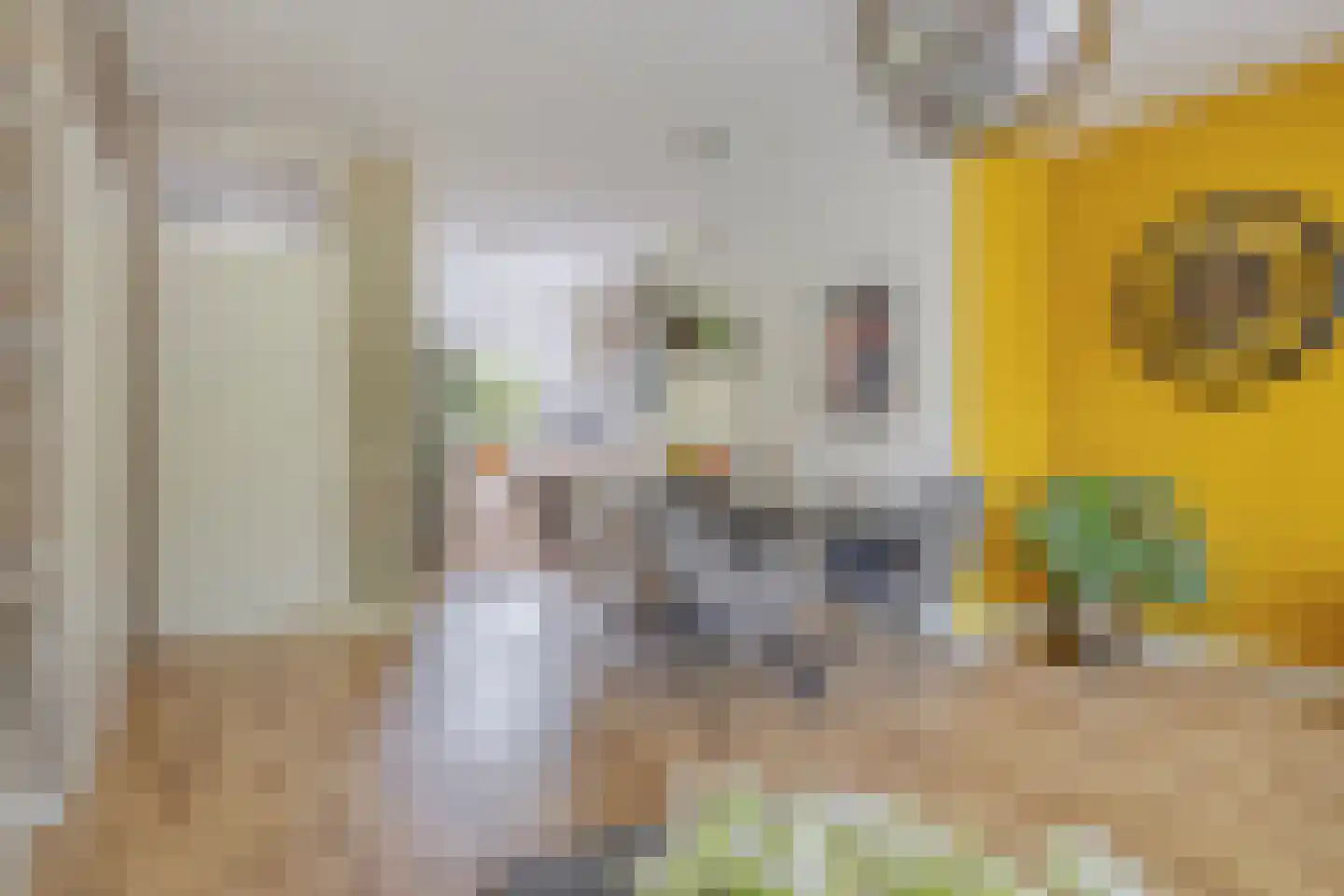 Teldersweg 50 Rhenen thumbnail 14