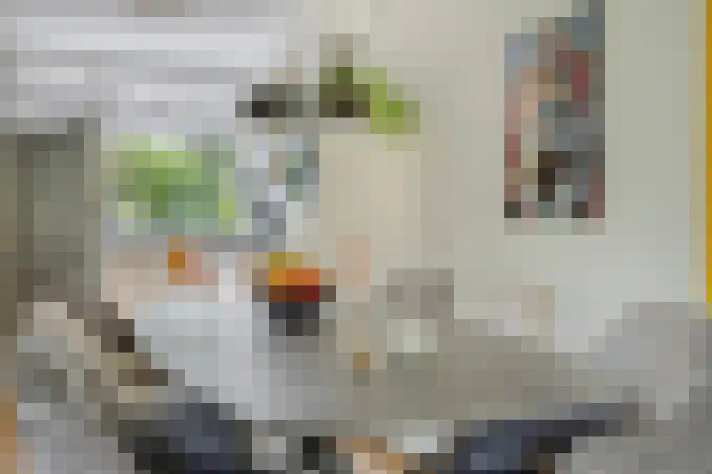 Teldersweg 50 Rhenen thumbnail 15