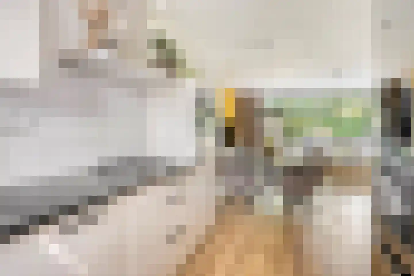 Teldersweg 50 Rhenen thumbnail 18