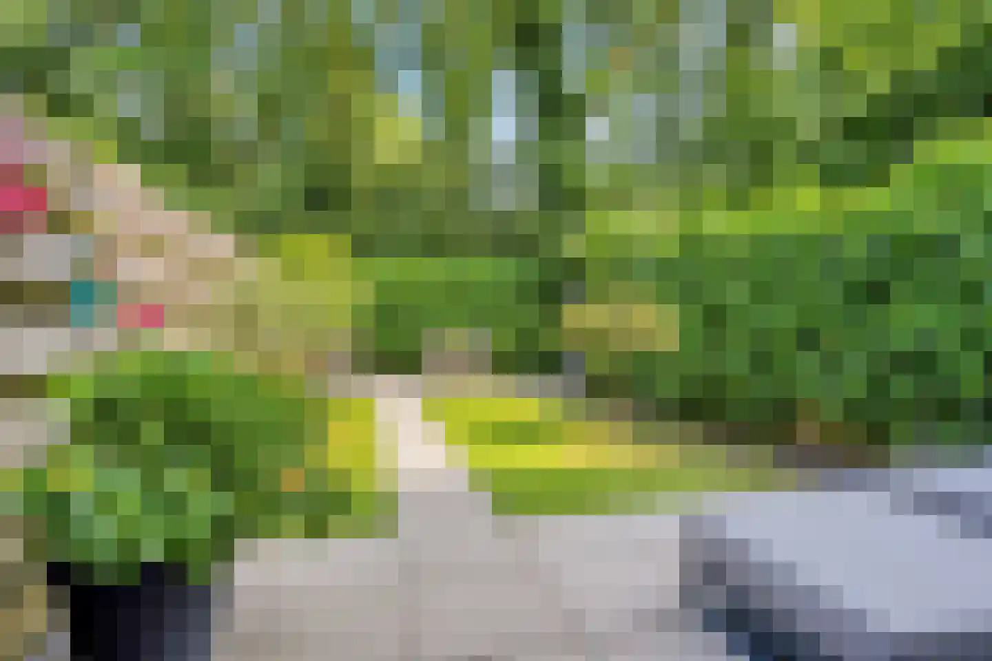 Teldersweg 50 Rhenen thumbnail 31