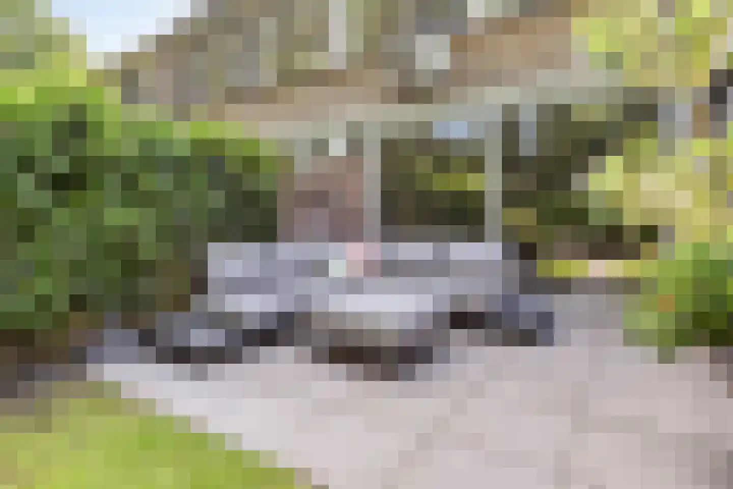 Teldersweg 50 Rhenen thumbnail 32