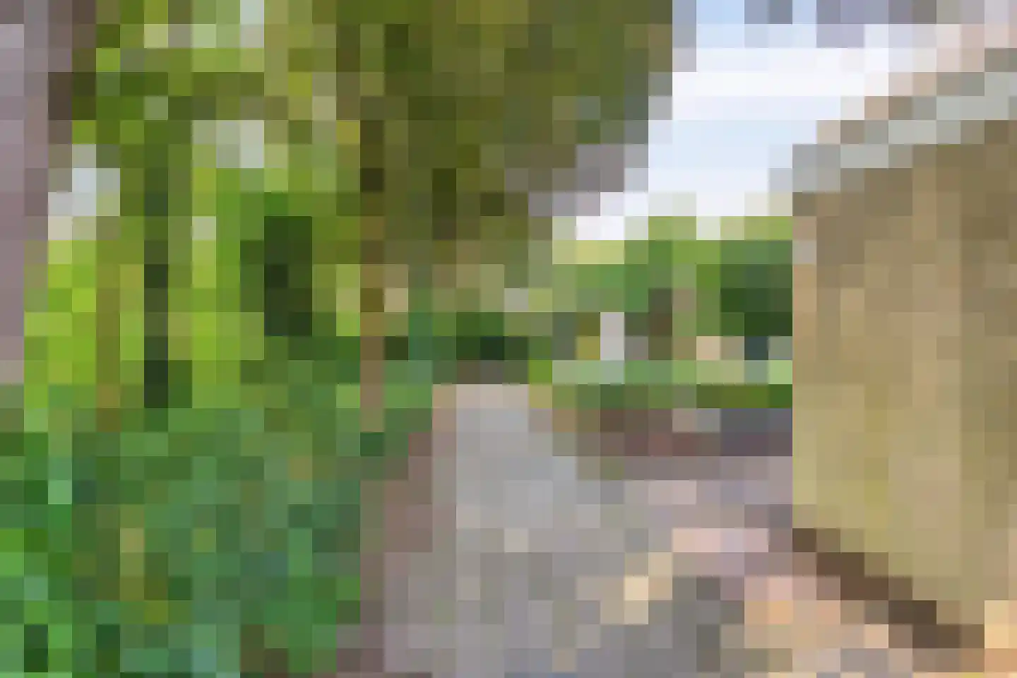 Teldersweg 50 Rhenen thumbnail 36