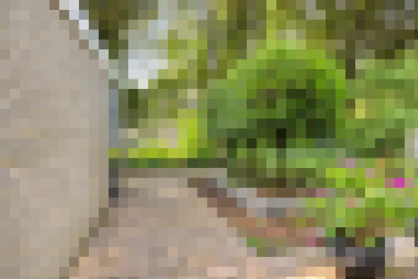Teldersweg 50 Rhenen thumbnail 8