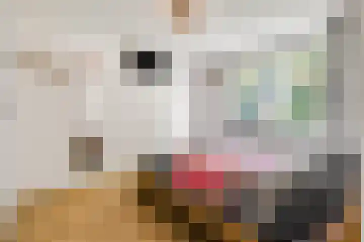 Teldersweg 52 Rhenen thumbnail 12