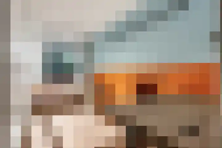Teldersweg 52 Rhenen thumbnail 15
