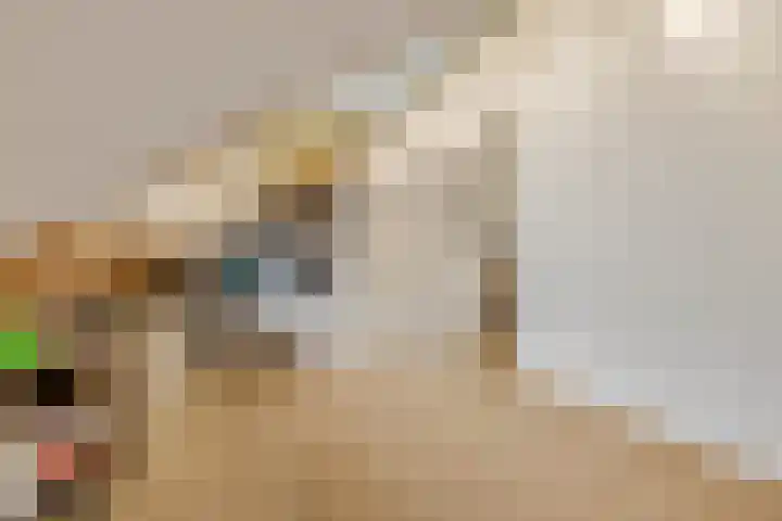Teldersweg 52 Rhenen thumbnail 18