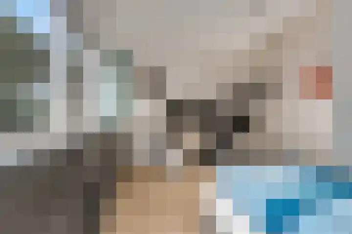 Teldersweg 52 Rhenen thumbnail 21