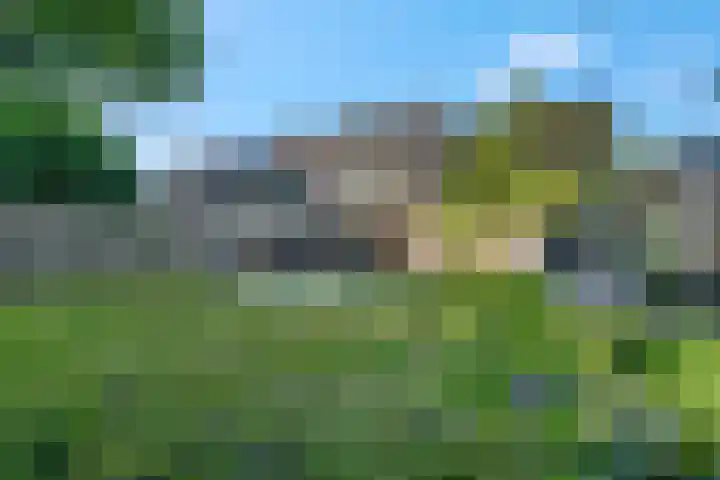 Teldersweg 52 Rhenen thumbnail 23