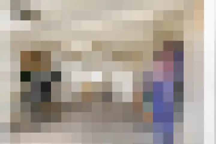 Teldersweg 52 Rhenen thumbnail 27