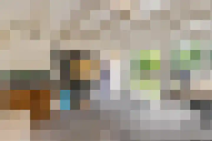 Teldersweg 52 Rhenen thumbnail 28