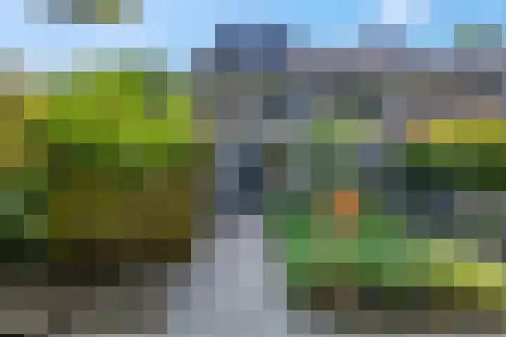 Teldersweg 52 Rhenen thumbnail 29