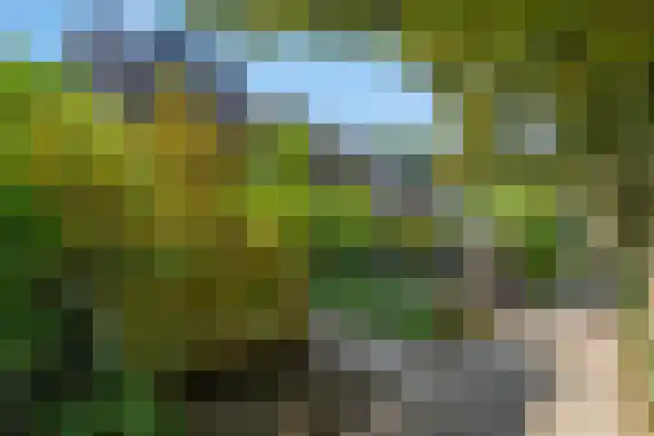 Teldersweg 52 Rhenen thumbnail 30