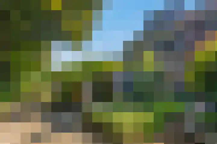 Teldersweg 52 Rhenen thumbnail 31