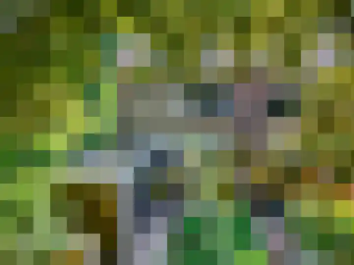 Teldersweg 52 Rhenen thumbnail 32