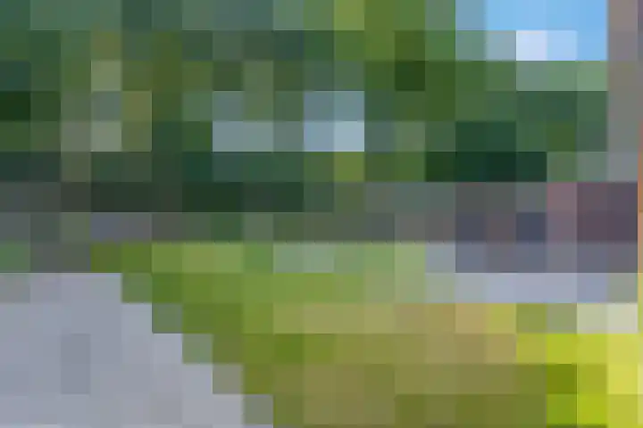 Teldersweg 52 Rhenen thumbnail 4