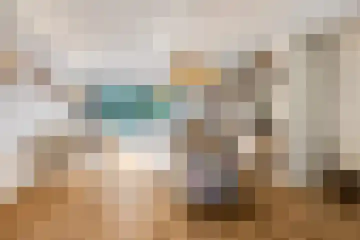 Teldersweg 52 Rhenen thumbnail 7