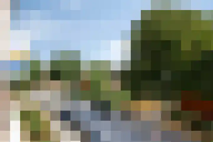 Teldersweg 53 Rotterdam thumbnail 13