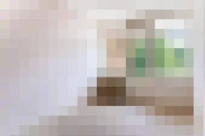 Teldersweg 53 Rotterdam thumbnail 16