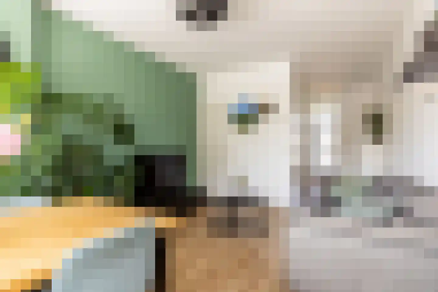 Teldersweg 71 Rotterdam thumbnail 14