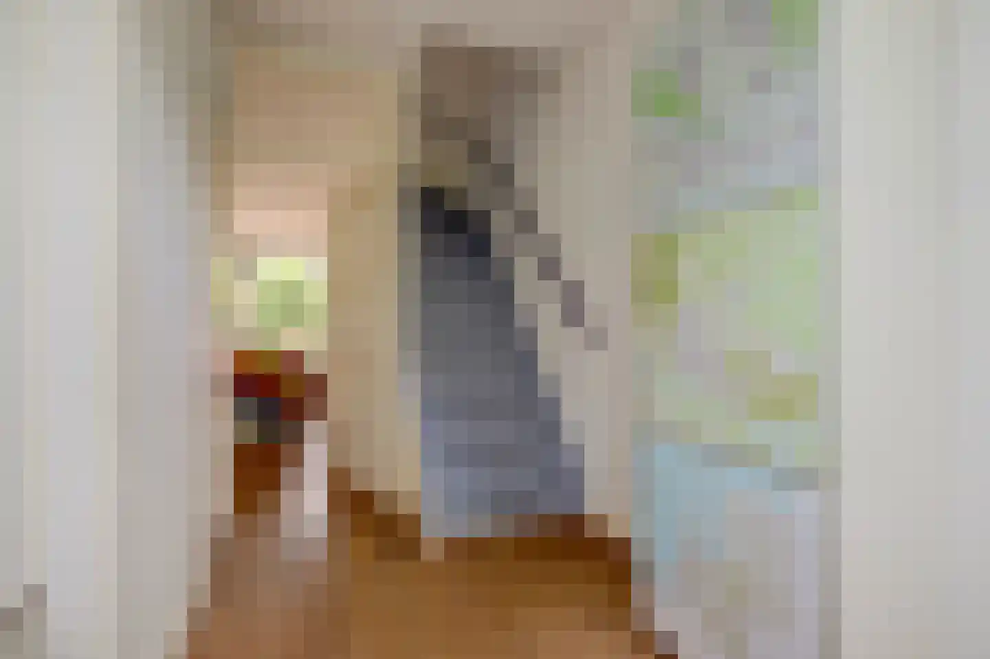Teldersweg 95 Rhenen thumbnail 11