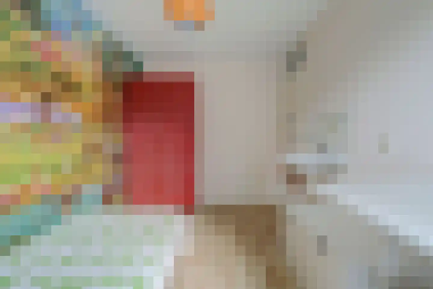 Teldersweg 95 Rhenen thumbnail 17