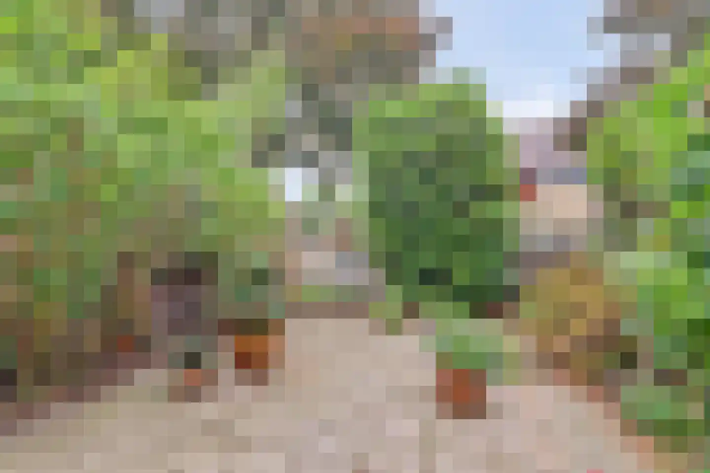 Teldersweg 95 Rhenen thumbnail 25