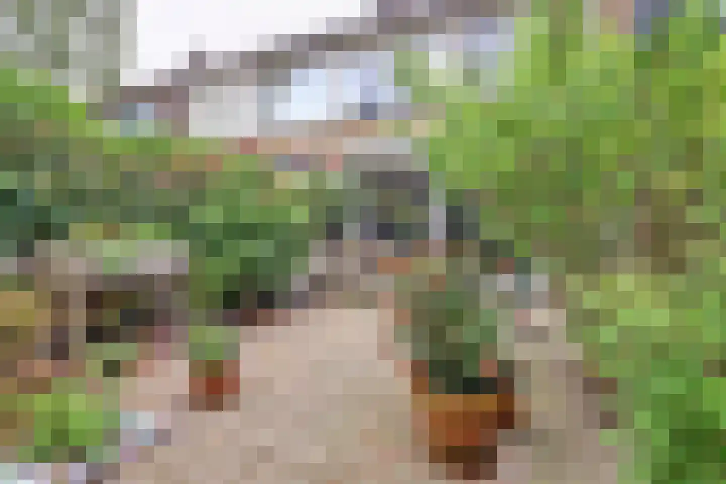 Teldersweg 95 Rhenen thumbnail 26