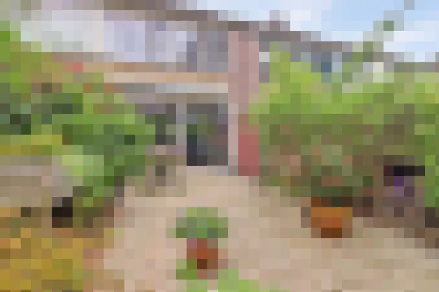 Teldersweg 95 Rhenen thumbnail 27