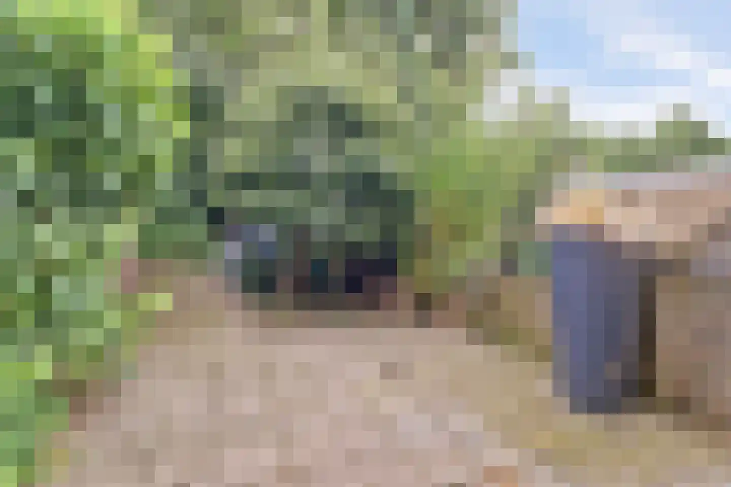 Teldersweg 95 Rhenen thumbnail 30