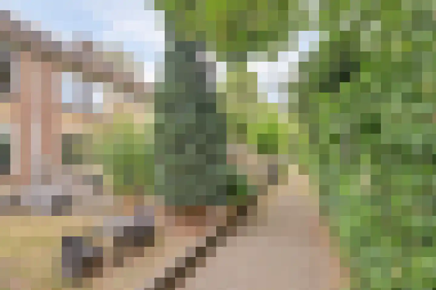 Teldersweg 95 Rhenen thumbnail 34