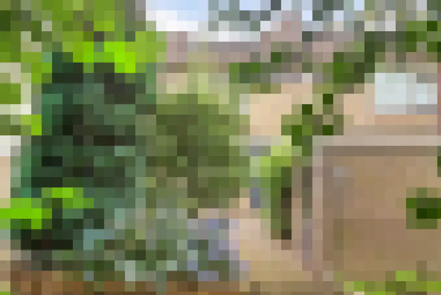 Teldersweg 95 Rhenen thumbnail 35