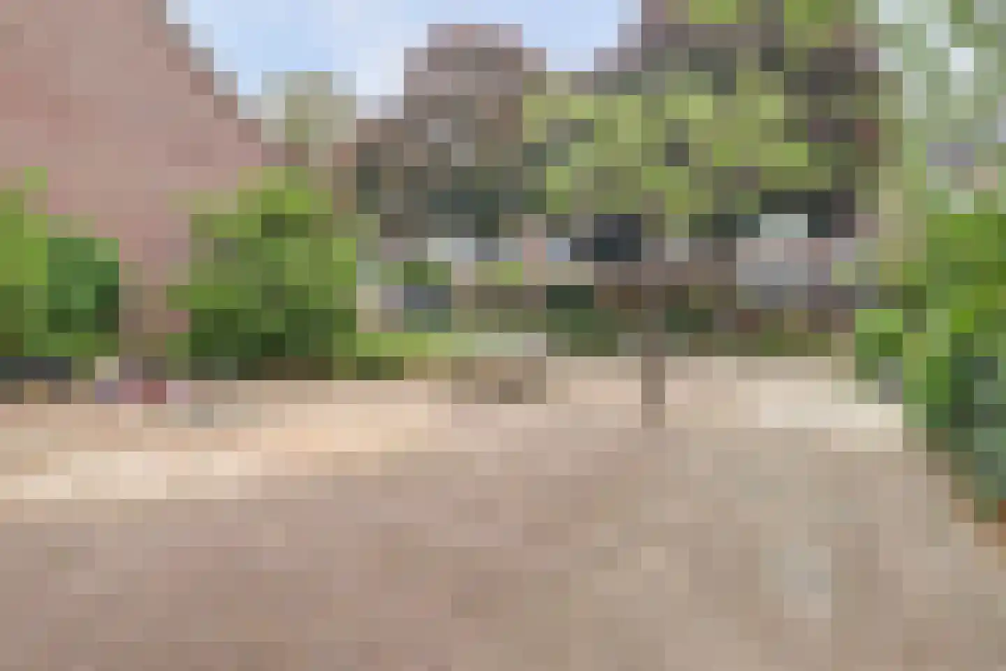 Teldersweg 95 Rhenen thumbnail 36