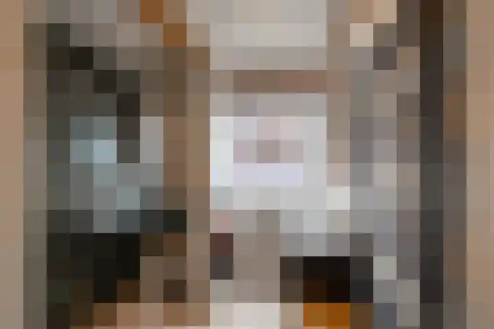 Telefoonstraat 14 Zuidlaren thumbnail 27