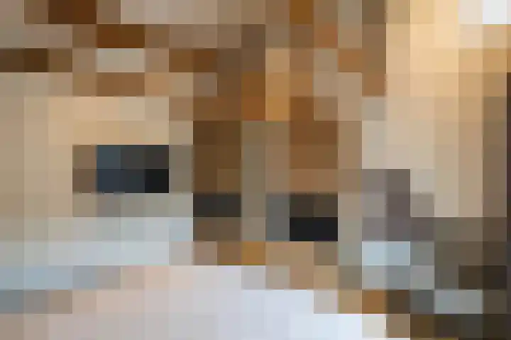 Telefoonstraat 14 Zuidlaren thumbnail 32