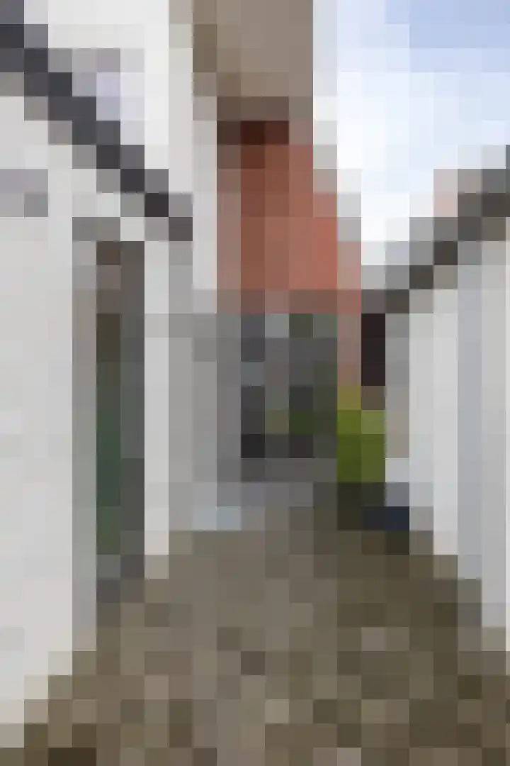 Telefoonstraat 14 Zuidlaren thumbnail 34