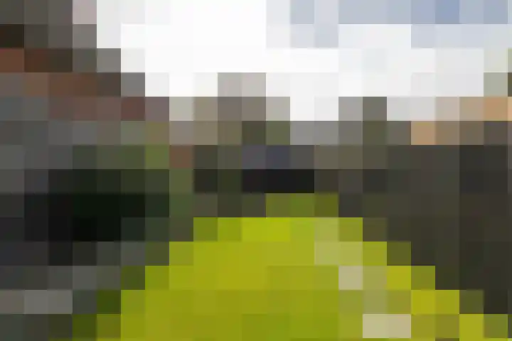Telefoonstraat 14 Zuidlaren thumbnail 36