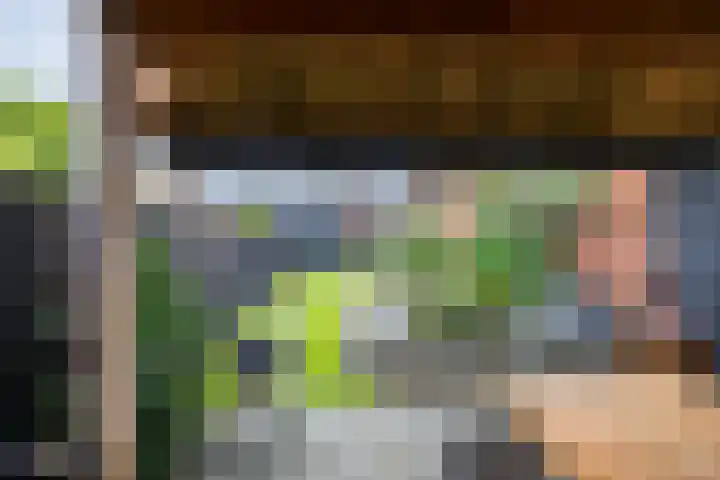 Telefoonstraat 14 Zuidlaren thumbnail 4