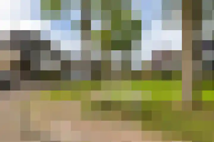 Telefoonstraat 14 Zuidlaren thumbnail 6