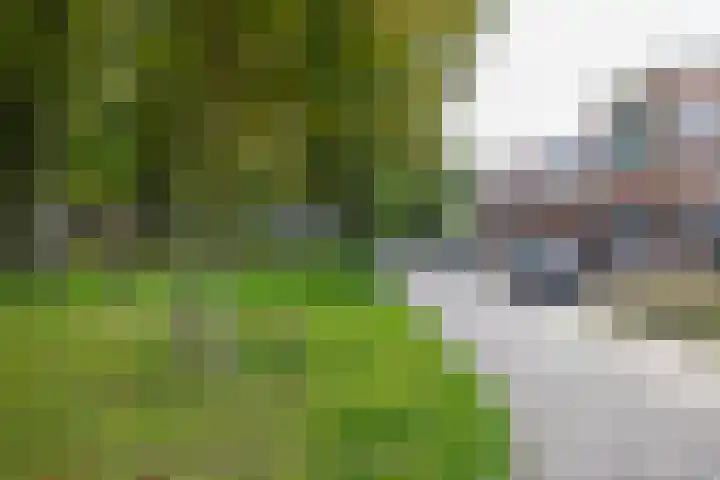 Telefoonstraat 14 Zuidlaren thumbnail 7