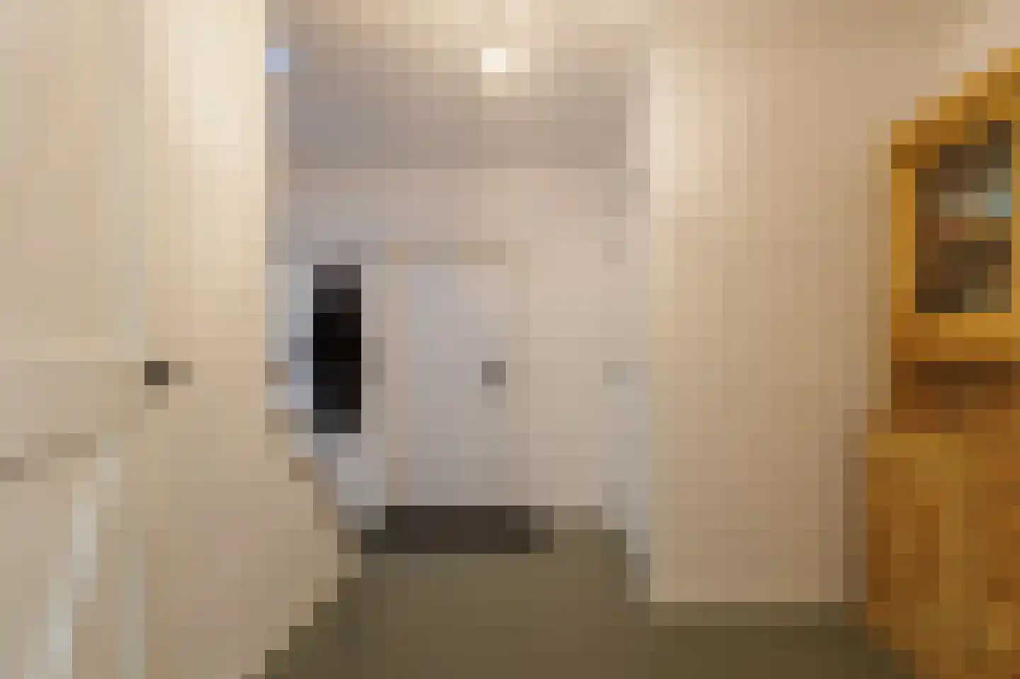 Telefoonstraat 15 Zuidlaren thumbnail 35