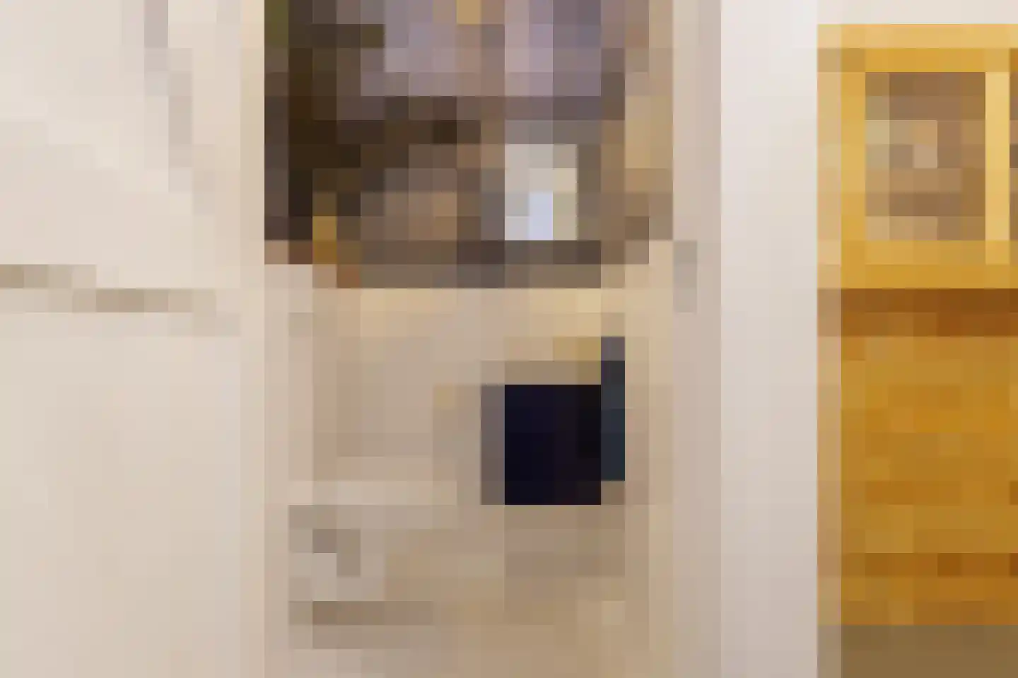 Telefoonstraat 15 Zuidlaren thumbnail 36