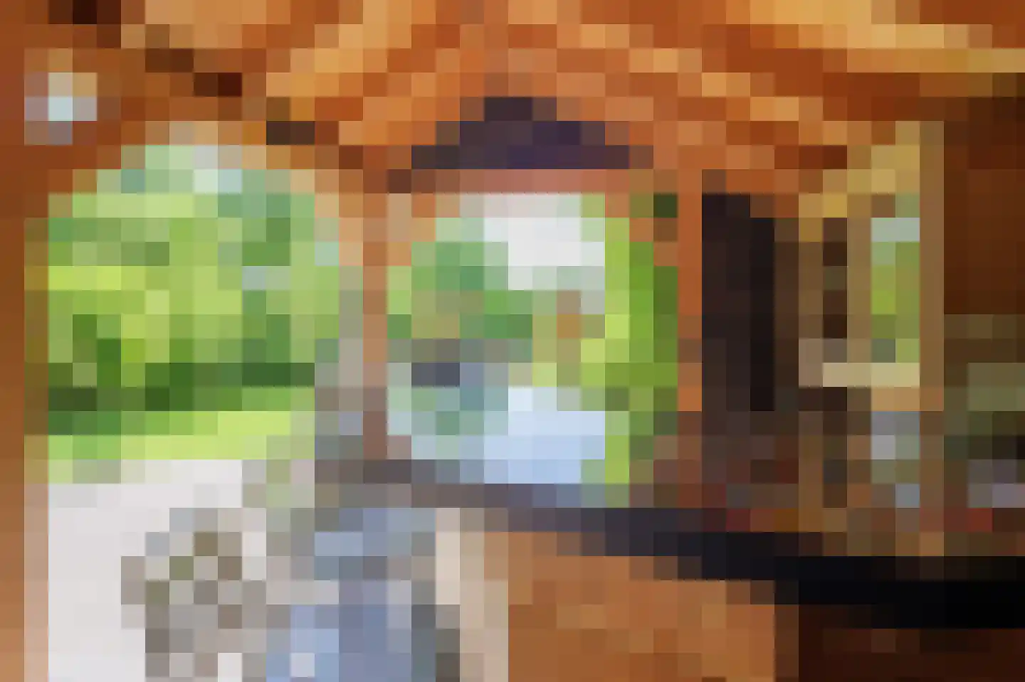 Telefoonstraat 15 Zuidlaren thumbnail 69