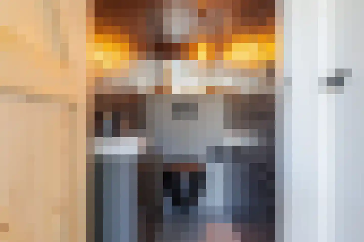 Telefoonstraat 15 Zuidlaren thumbnail 74