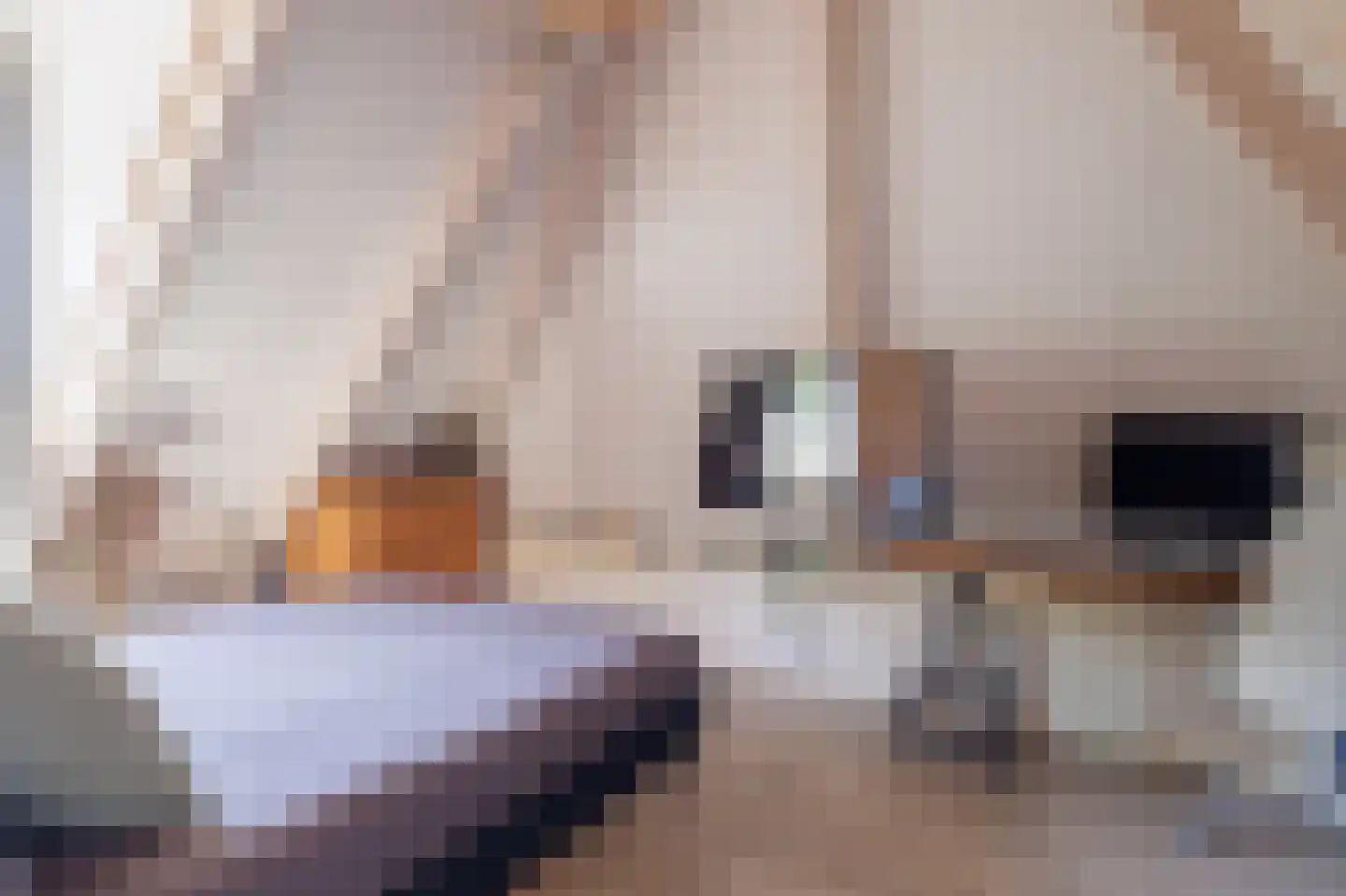 Telefoonstraat 15 Zuidlaren thumbnail 90