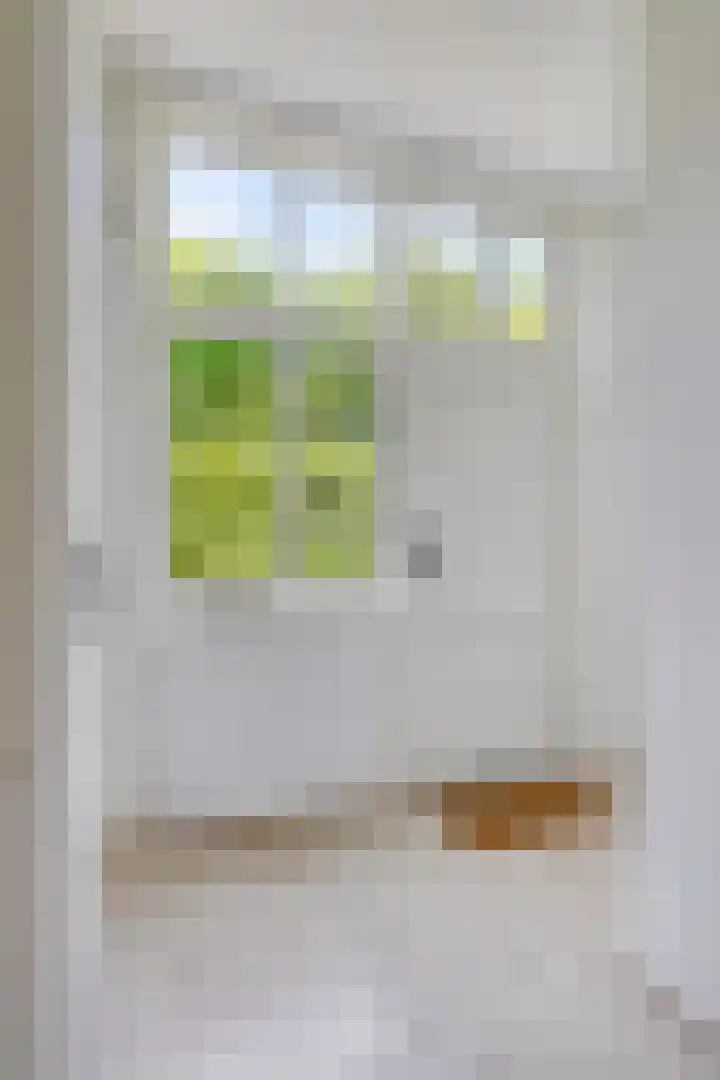 Telefoonstraat 16 Tilburg thumbnail 18