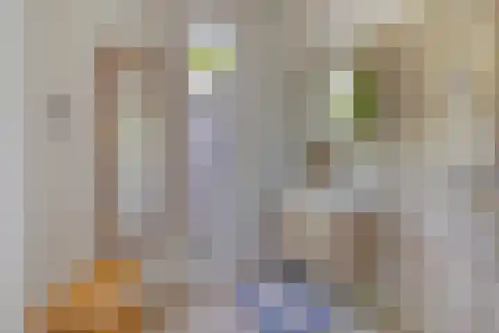 Telefoonstraat 16 Tilburg thumbnail 21