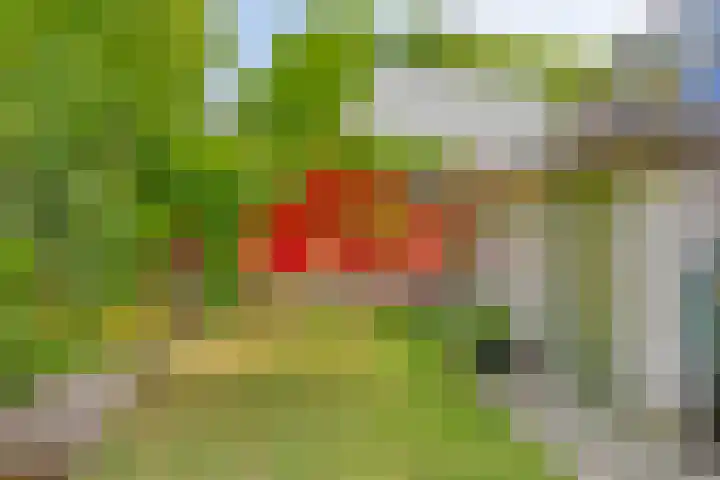 Telefoonstraat 16 Tilburg thumbnail 36