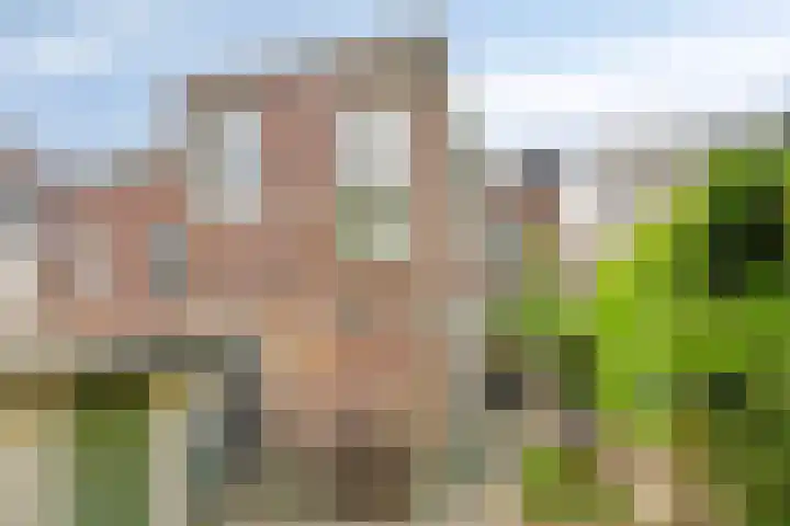 Telefoonstraat 16 Tilburg thumbnail 42